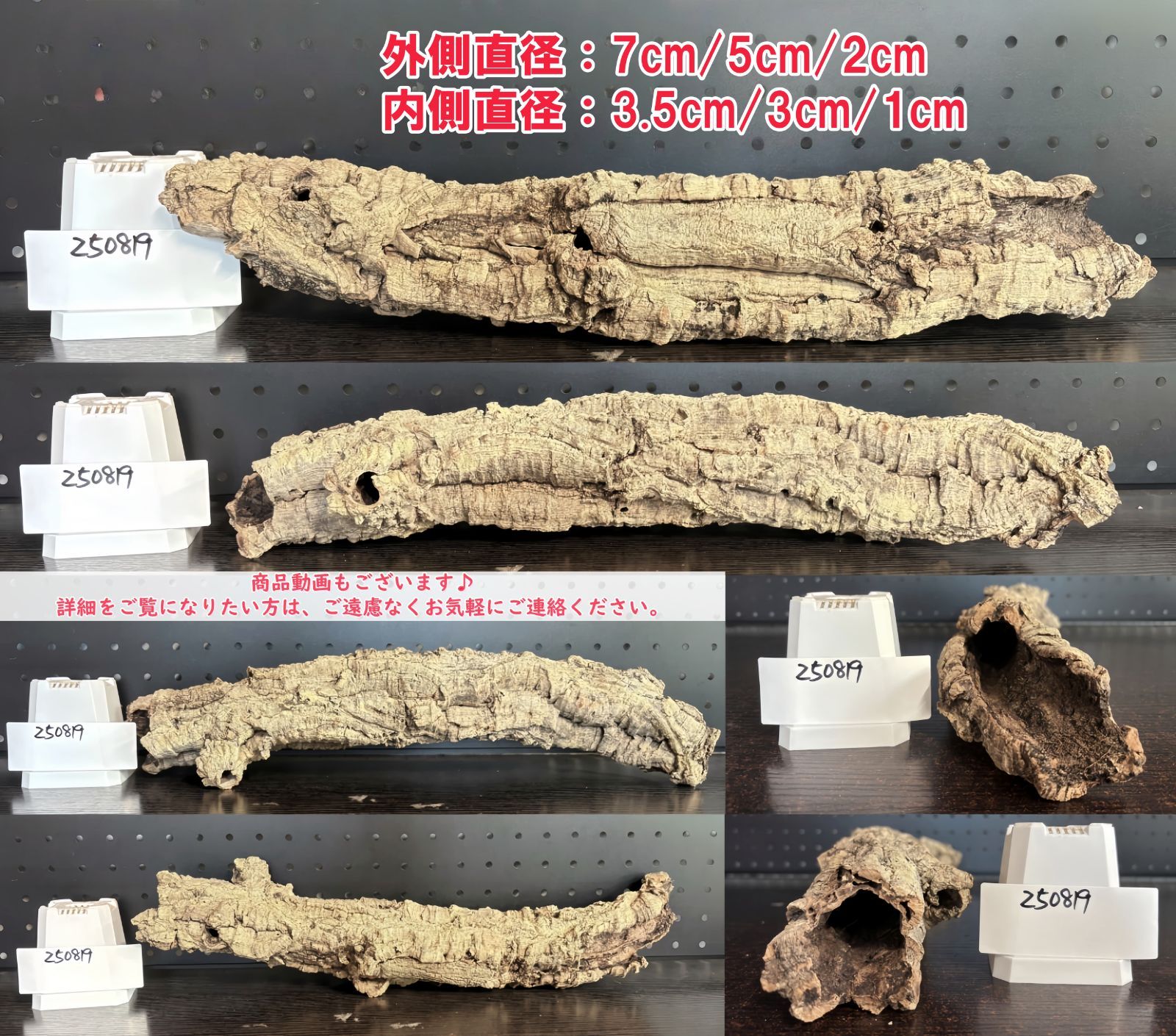 250819 ポルトガル産 キャノンコルク コルク樹皮 コルク板 バージン