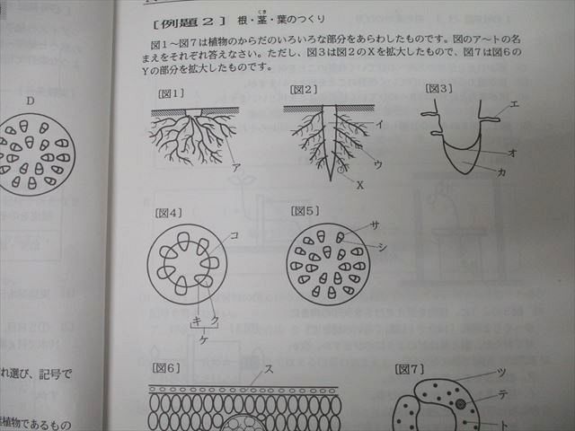 浜学園 小6 最高レベル特訓 理科 風/林/火/山の巻 No.1〜No.38 テキスト通年セット 2019 計4冊 027S2D 浜学園 小6 最高レベル特訓 理科 風/林/火/山の巻 No.1～No.38