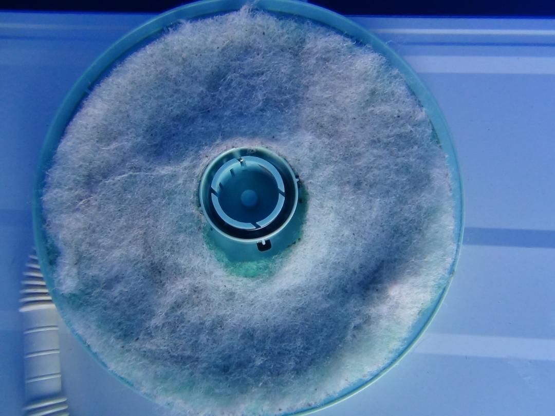 東芝 衣類乾燥機