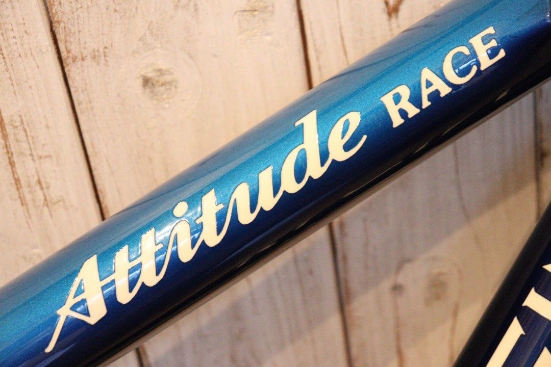 ATTITUDE RACE