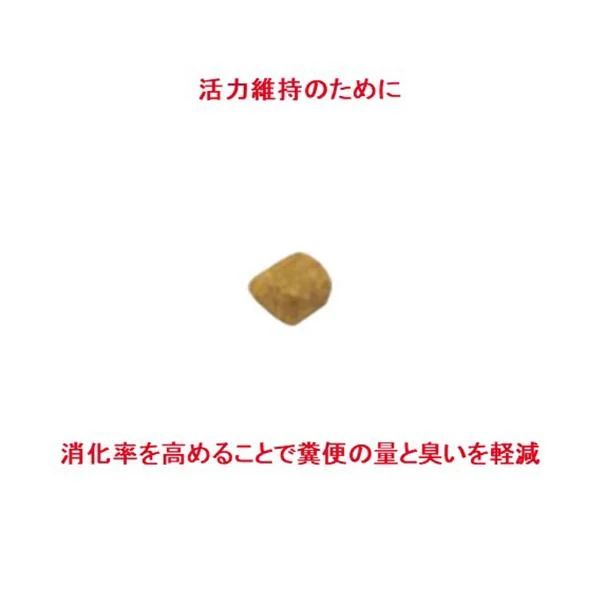 フィーライン ヘルス