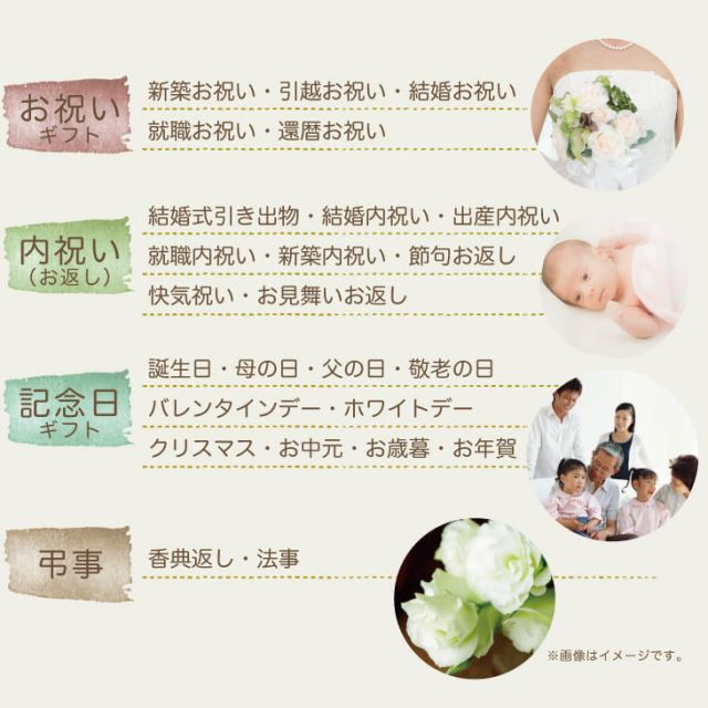 種類5 10個まとめ買い