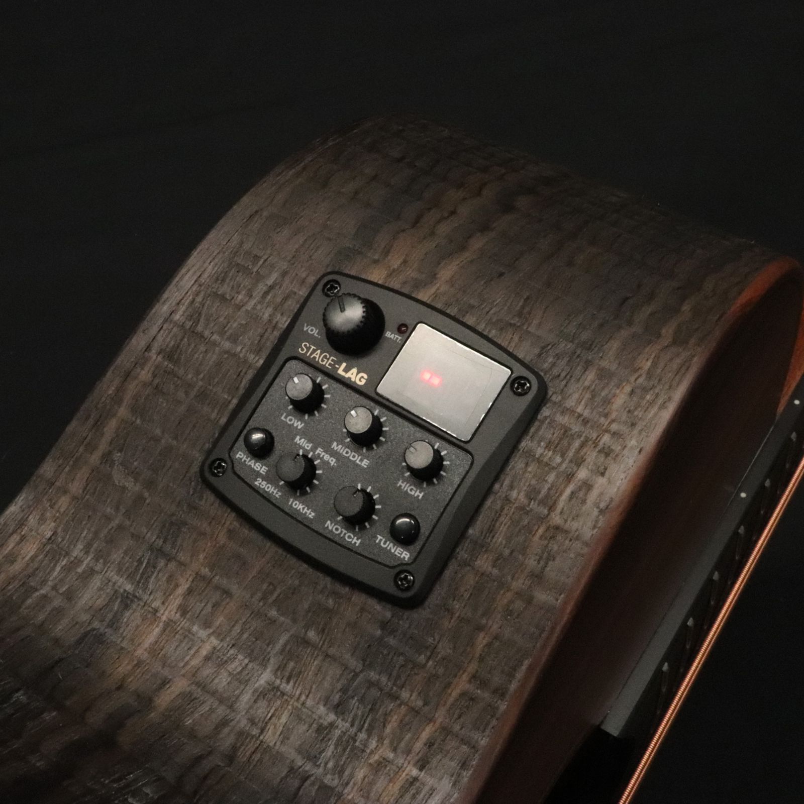 Guitars アコースティックベース