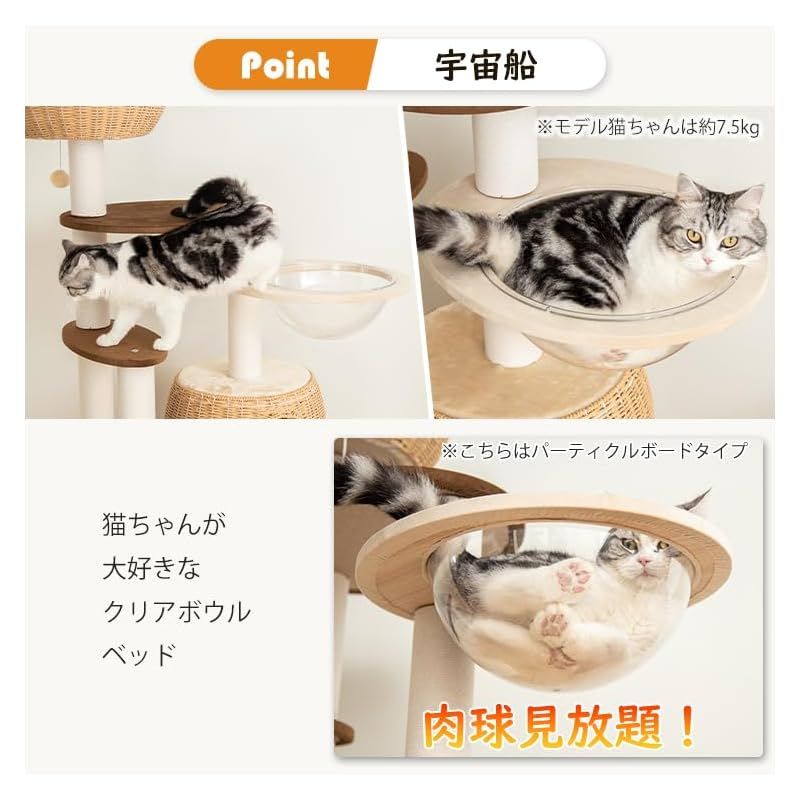 シニア猫 モフモフ