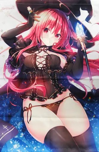 Amazon.co.jp: 姫路白雪 B2タペストリー ライアーライアー MFた