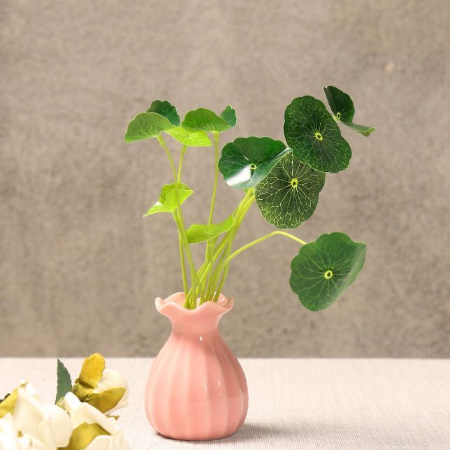 ☆（予約販売の商品） vase389 ミニ シンプル 花瓶 フリルエッジ