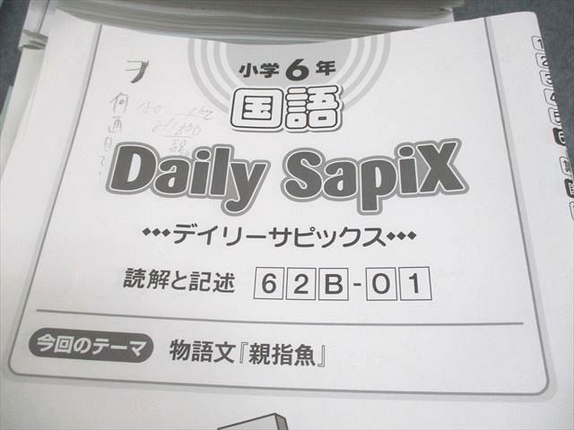 デイリー|スプリング|サマーサピックス 2025年度版