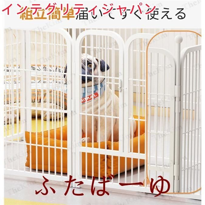 6枚組