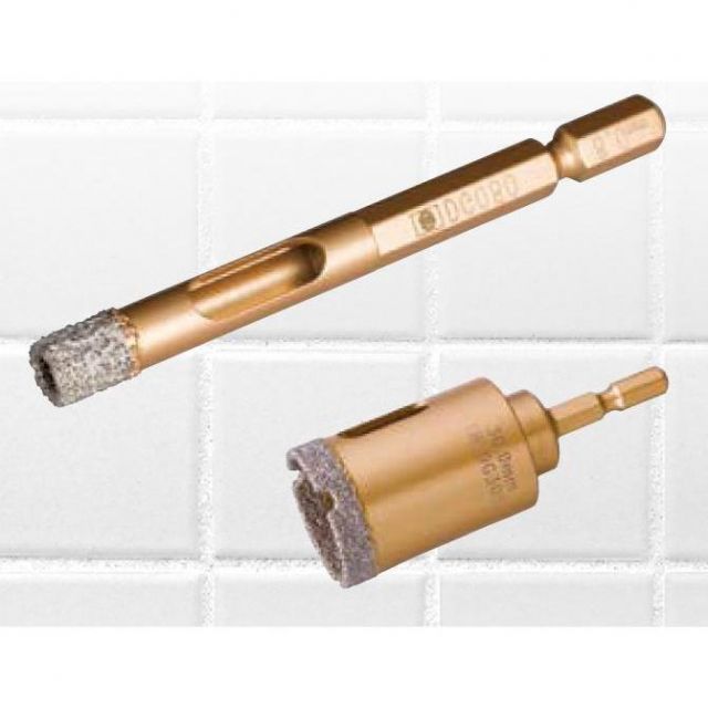 木彫 珍品 恐竜 イリテーター(イリタトール) 頭骨模型 14cm 木彫 珍品