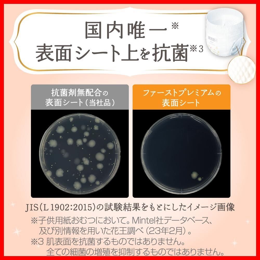 Lサイズ