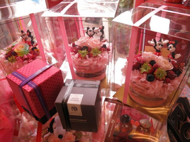 ケース付き ノーマル