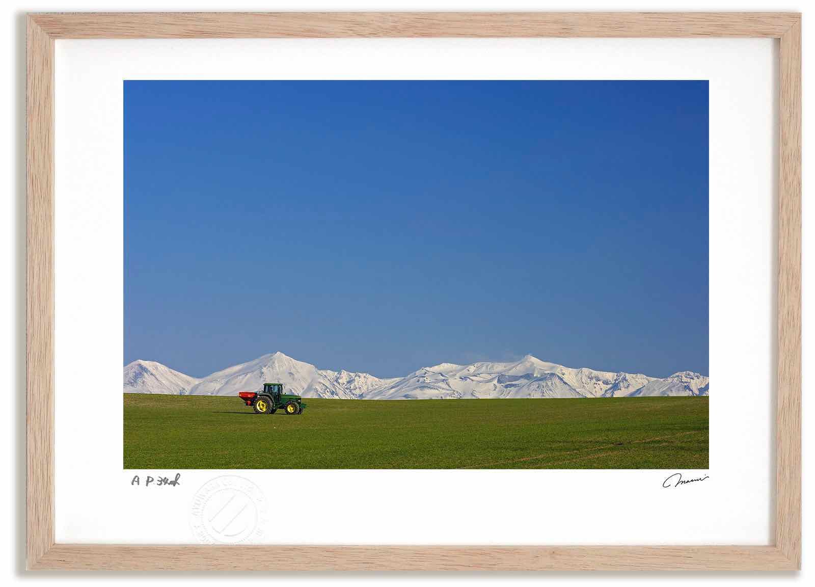 アートフォト 絵画 春の丘2 高橋真澄/インテリア 額入り 額装込 風景画 油絵 ポスター アート アートパネル リビング 玄関 プレゼント モダン アートフレーム 飾る Mサイズ おしゃれ 壁掛け 