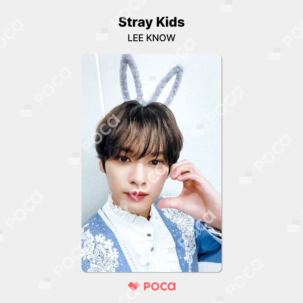 straykids リノ】スキズ Stray Kids 2nd World Tour MANIAC