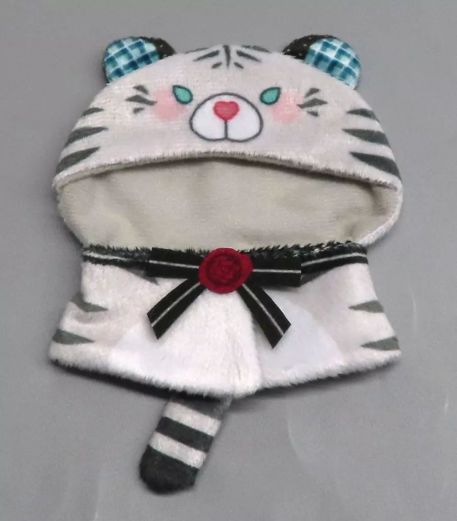 チャ・ウヌ(CHA EUNWOO) 2025 ファンミーティング ペンミ 入学