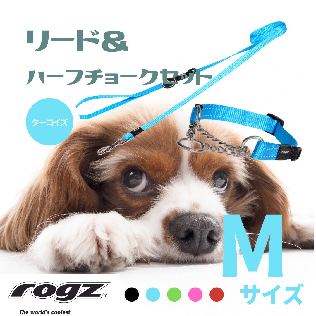 五彩猿鹿蜂文七寸皿 5客 大明成化年製