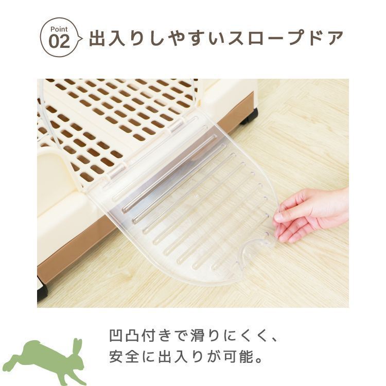 猫 小型犬
