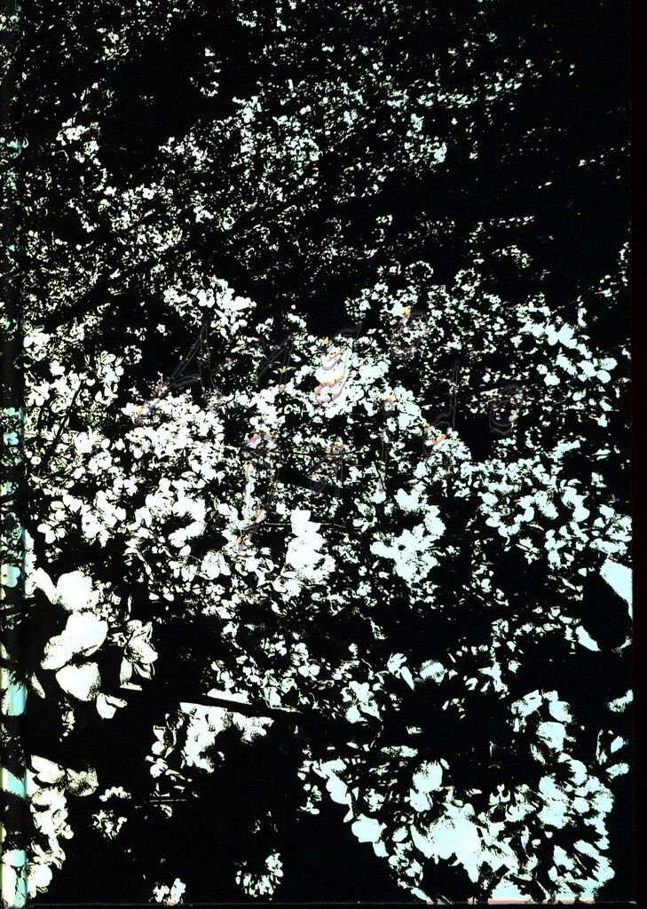 サイン入 森山大道 ANGO 日本語版