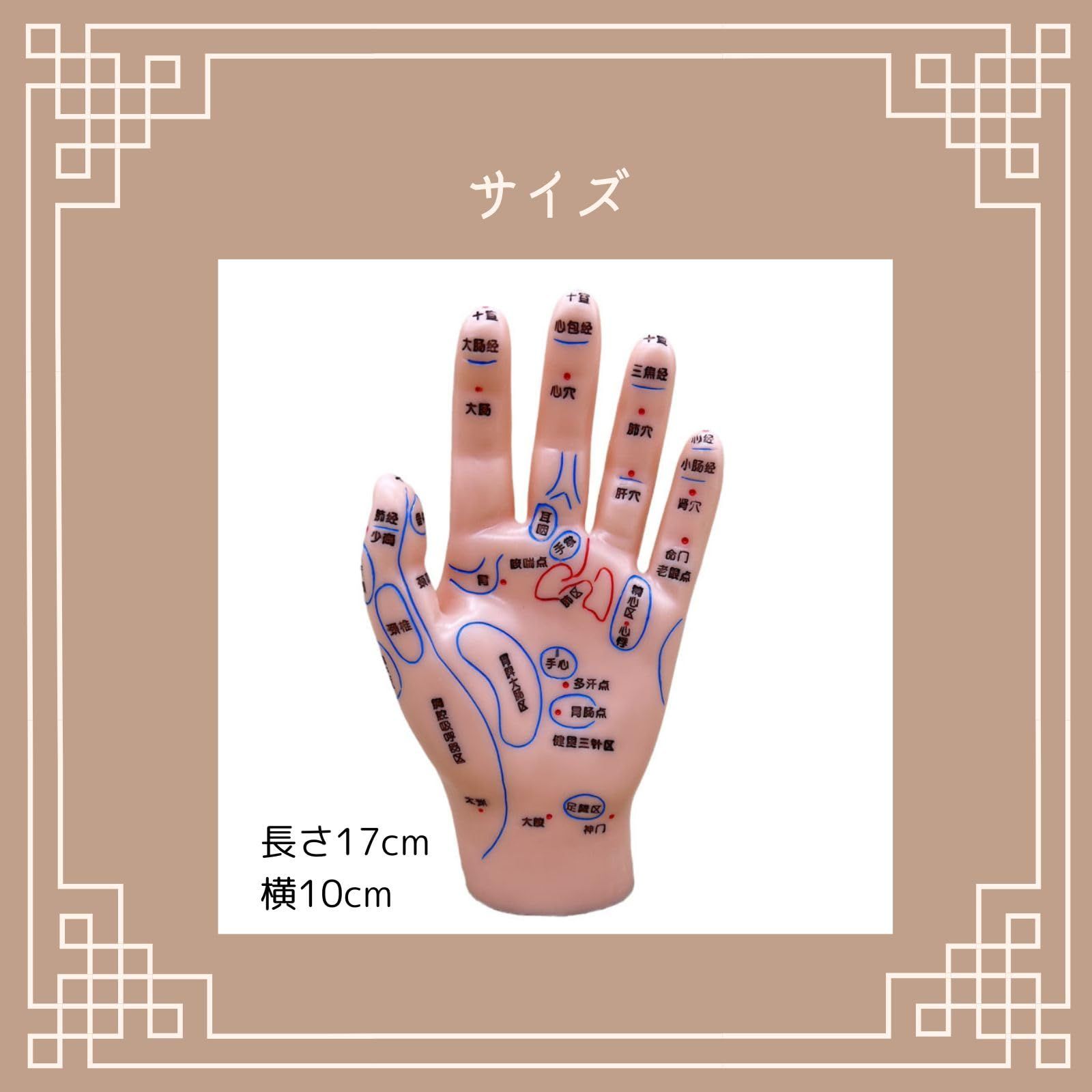 〇Od54 未使用保管品 鍼 ツボ モデル 手 耳 足 3点まとめ Amazon.co.jp: 耳と手と足のツボモデル、中国医学のツボモデル