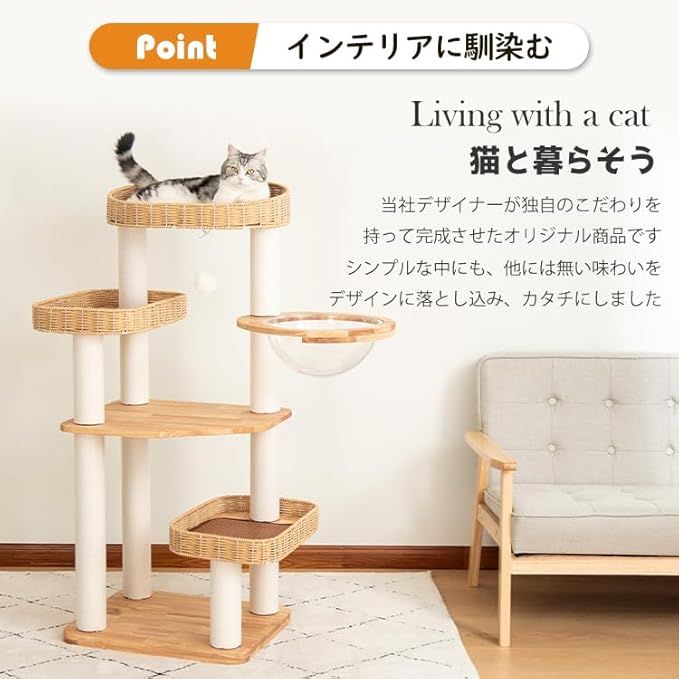 クリアボウル 中型猫