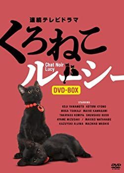Amazon.co.jp: くろねこルーシー [DVD] : 塚地武雅, 安めぐみ