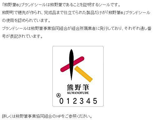 RR-S8 赤ライン