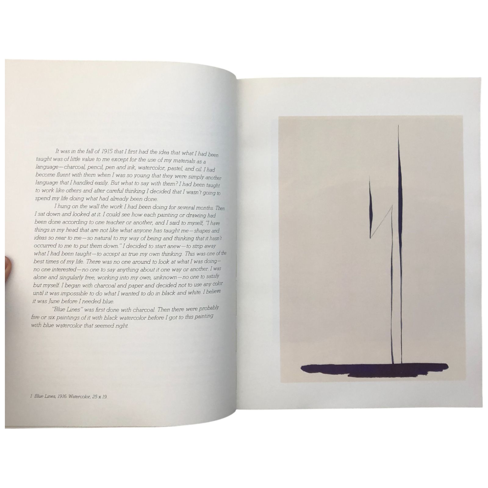 洋書THE IA O‘KEEFFE MUSEUM ジョージア・オキーフ GEORGIA O'KEEFFE, PHOTOGRAPHER：ジョージア・オキーフ | OIL - 現代