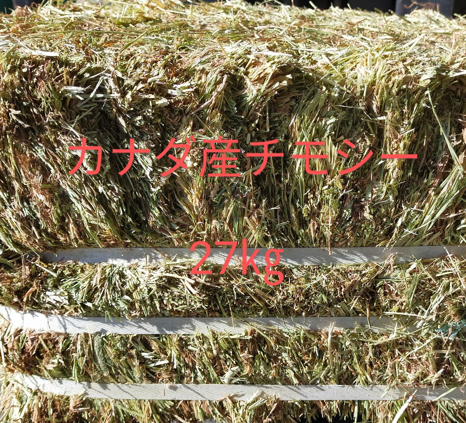 卸売 カナダ産チモシー 27㎏
