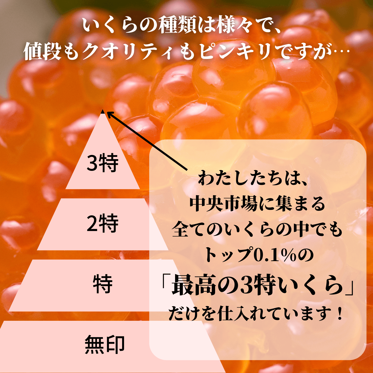 最高級秋鮭イクラ★北海道産 醤油漬け大粒いくら500g 天然 お歳暮、おせちに