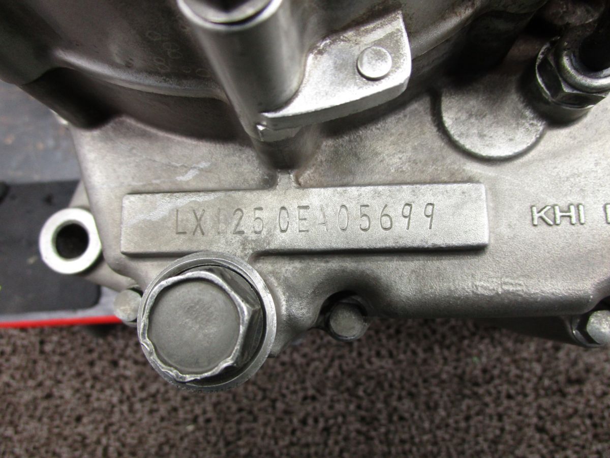 LX125CE D-TRACKER