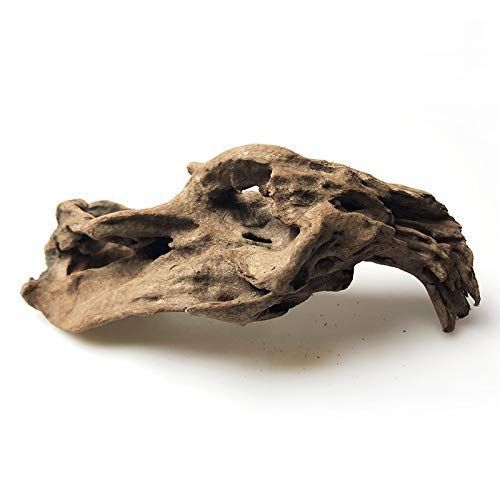 水族館シンクエイブル流木水槽の装飾