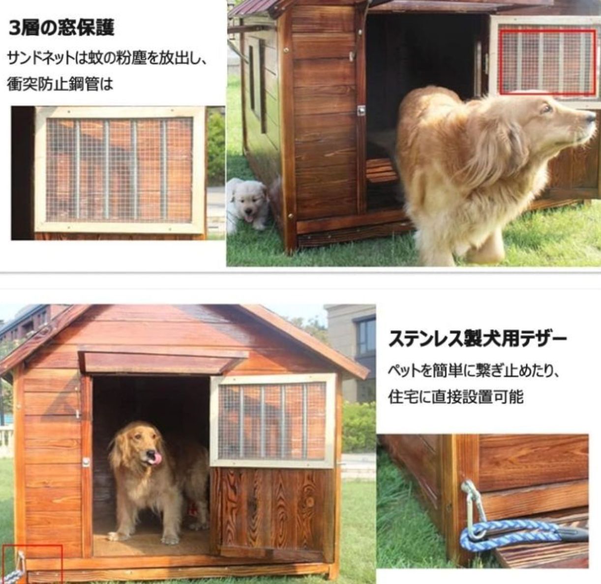 大型犬