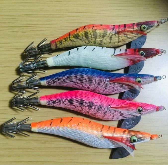 廃盤 エギ王　エギマル　アオリーQ 墨族 3.0号2.5号　30個セット 廃盤 エギ王 エギマル アオリーQ 墨族 3.0号2.5号 30個セット