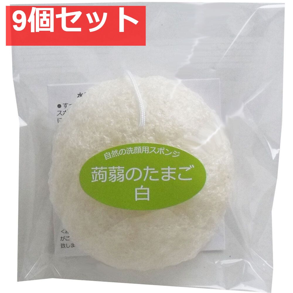 蒟蒻のたまご 白 C-6 9個セット まとめ売り