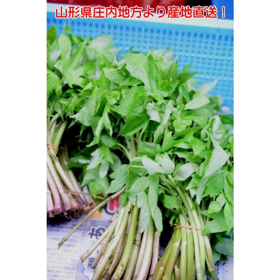 冷蔵 山形県庄内地方