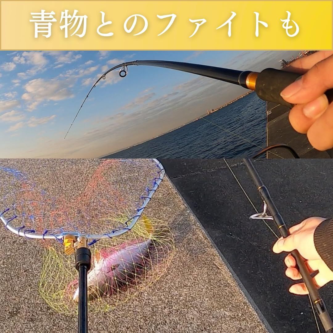 シーバスロッド