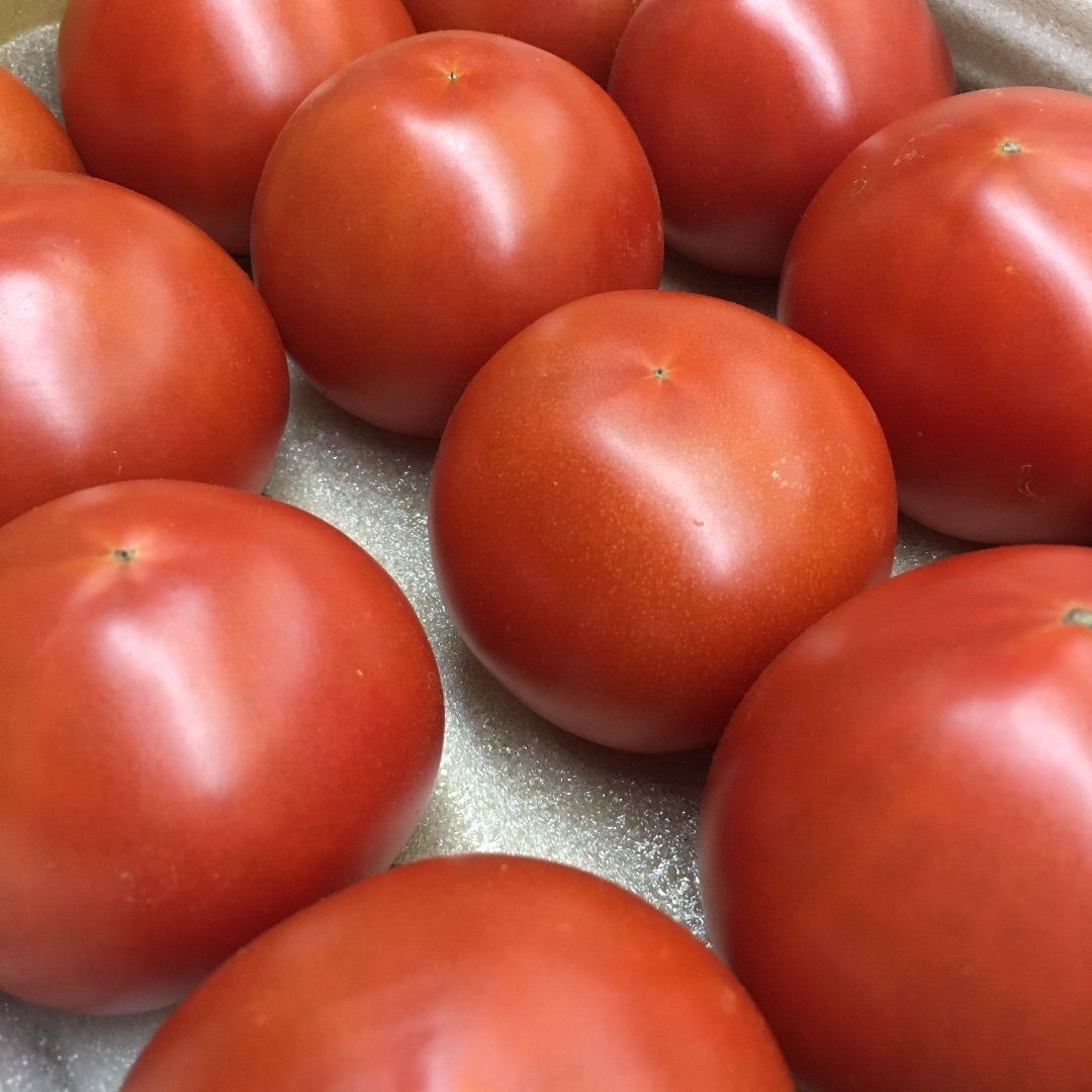 贅沢トマト🍅(ぜいたくとまと)＋α　農家👩‍🌾直送！クールメルカリ便❄60サイズ