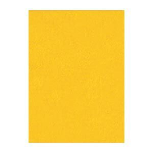 リンテック ニュー Ｒ 4 NCR-237 みかん