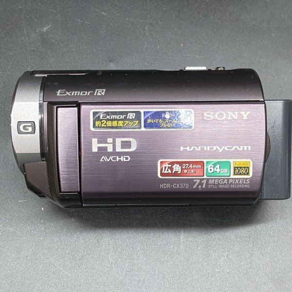 C239 SONY ソニー ハンディカム HDR-CX370V ビデオカメラ