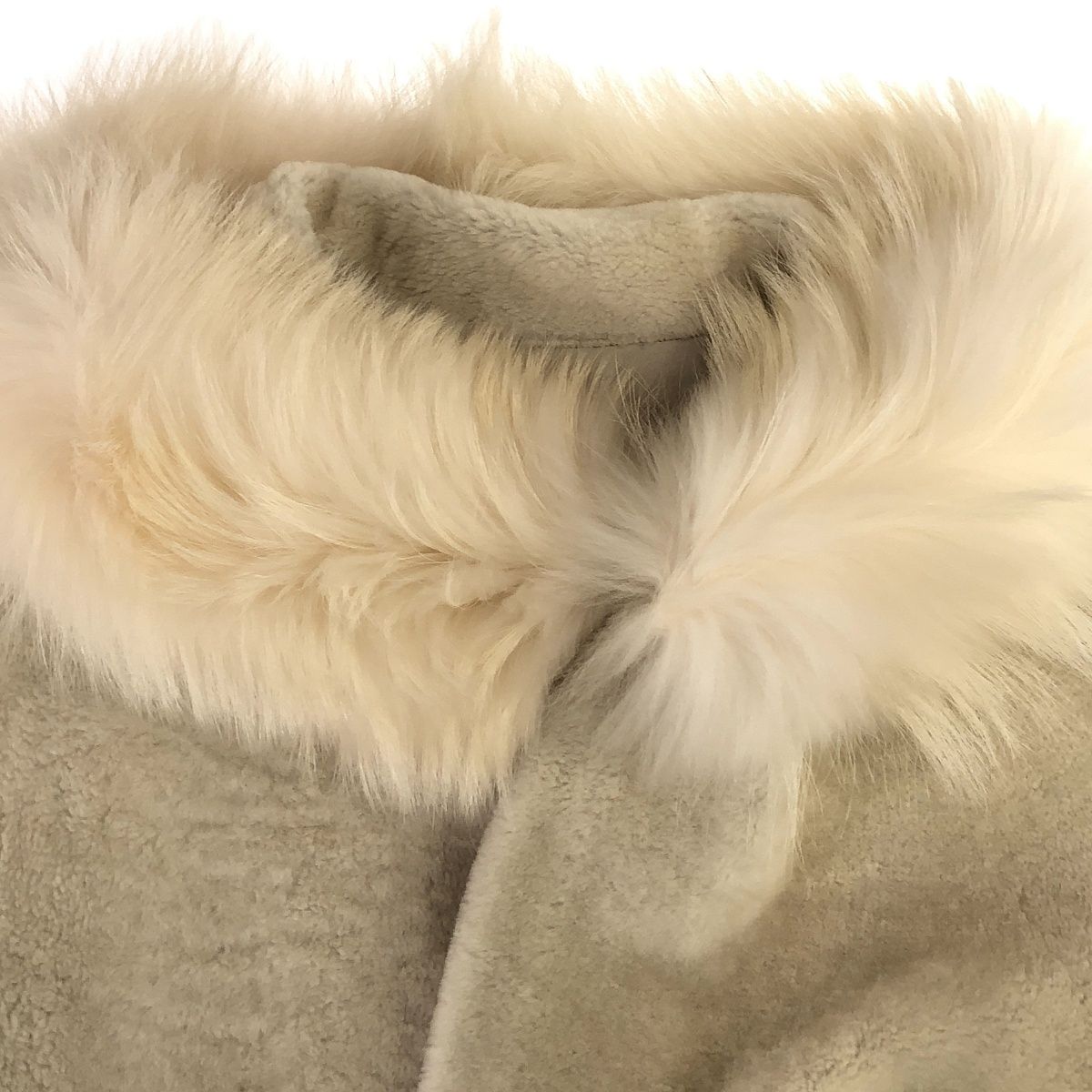 NIGEL PRESTON & KNIGHT ナイジェル プレストン アンド ナ ムートン  