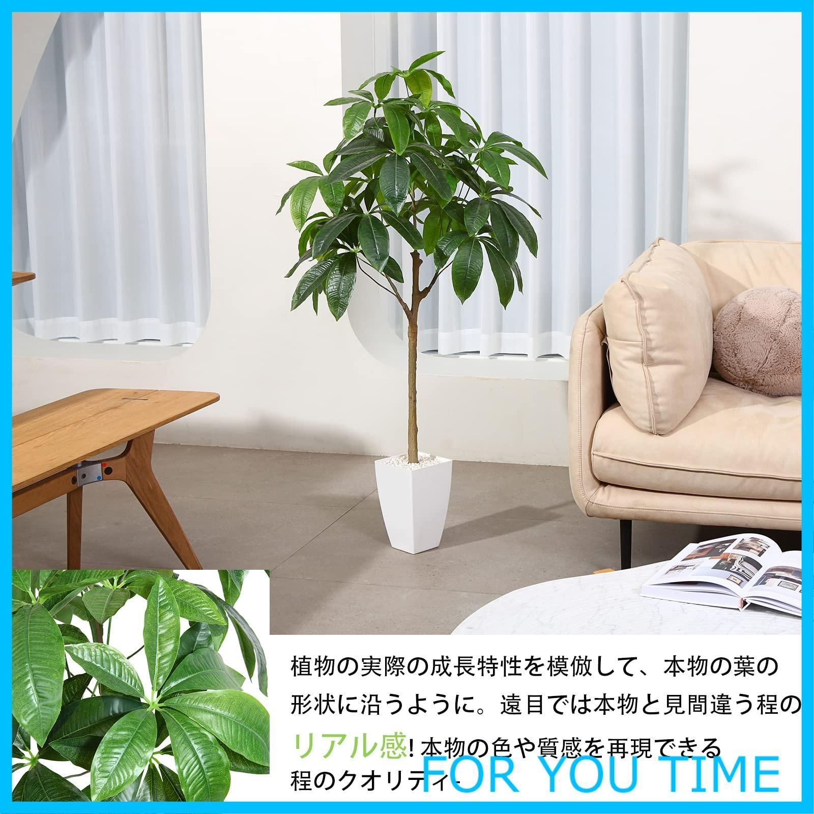 光触媒 フェイクグリーン