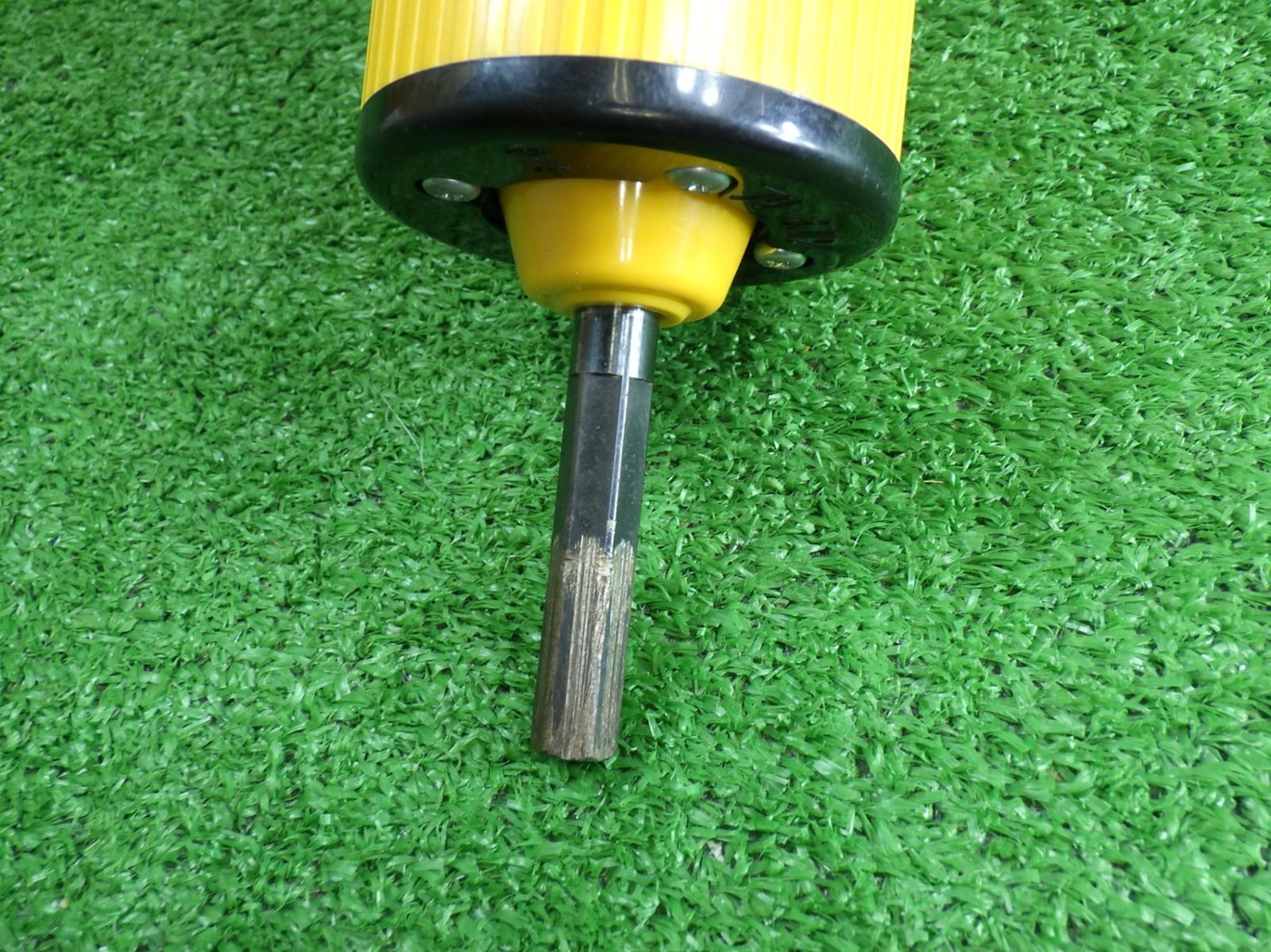 フリーホルソー