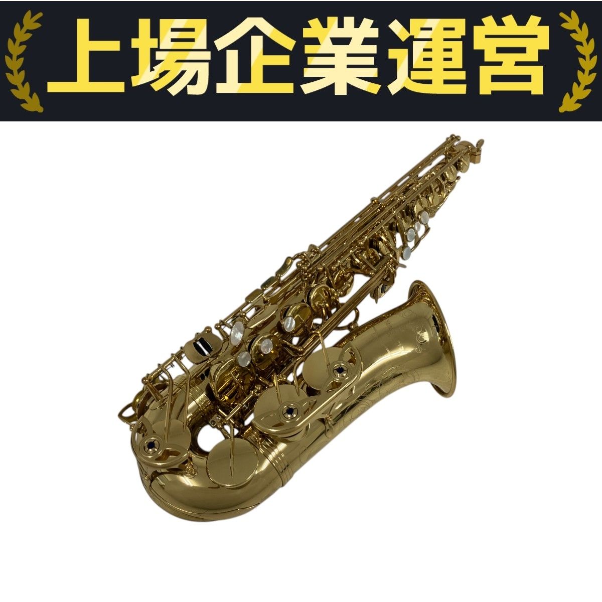 YANAGISAWA A-WO10 アルトサックス 管楽器 ヤナギサワ 中古 良好