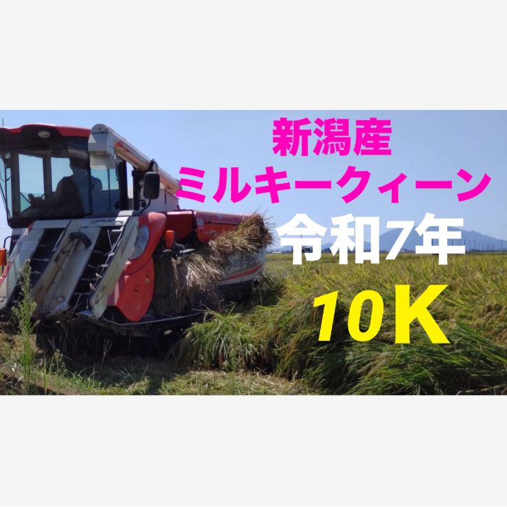 令和7年度産 新潟産 ミルキークイーン 10Ｋ