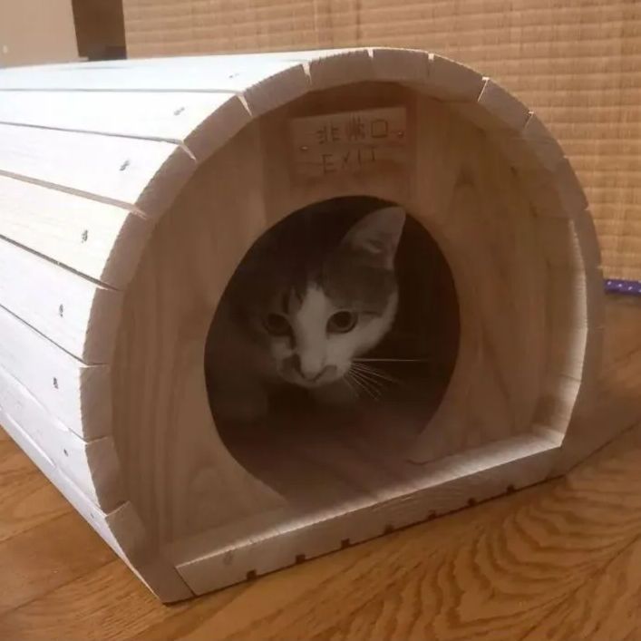 猫トンネルハウス B棟｜キャットハウス