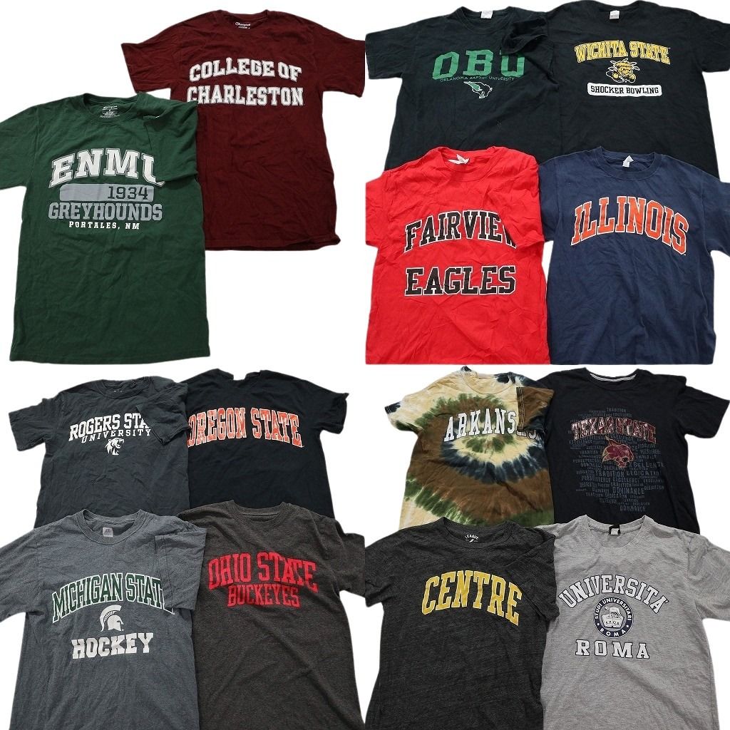 古着卸 カレッジ風 半袖Tシャツ 14枚セット メンズ S |M テキサス大学 アーカンザス大学 ミシガン大学 古着 NA2659