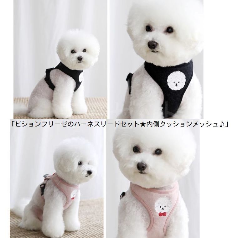 大人気につき再入荷！1/14】ビションフリーゼのハーネスリードセット