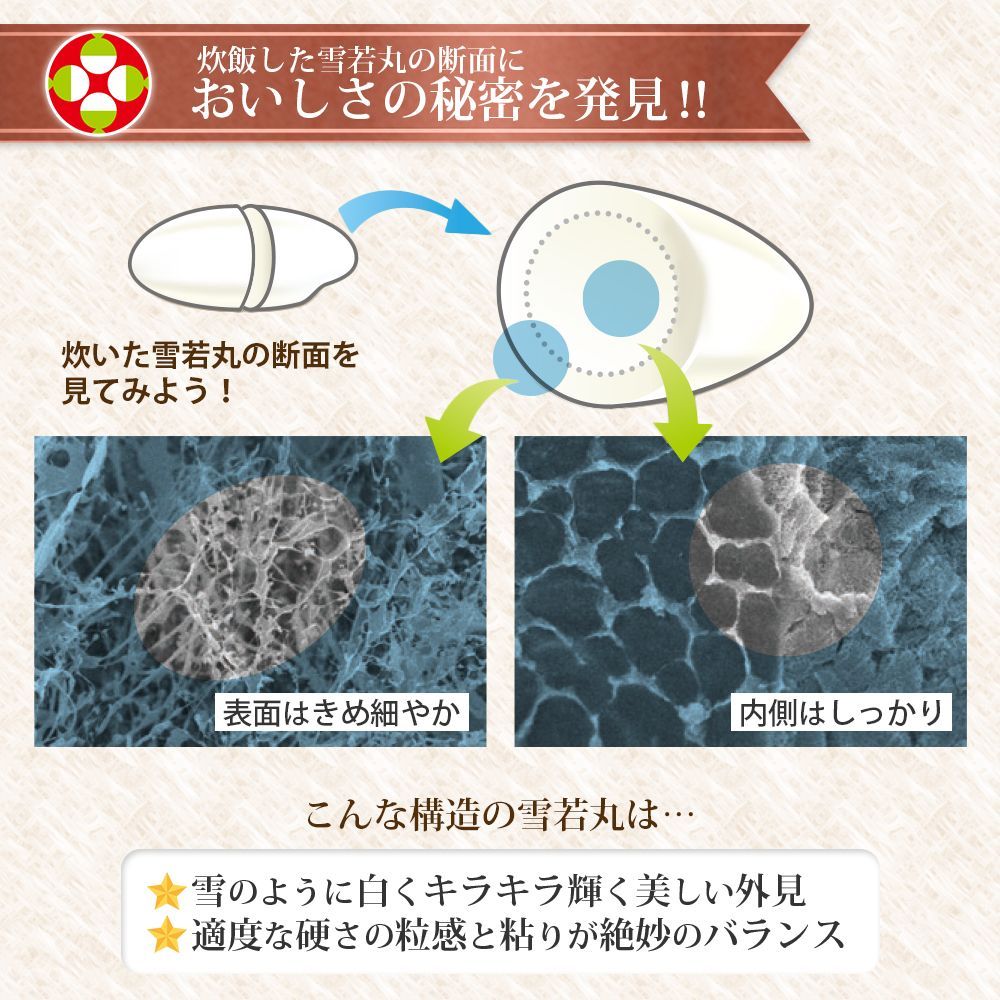 令和6年産 10キロ