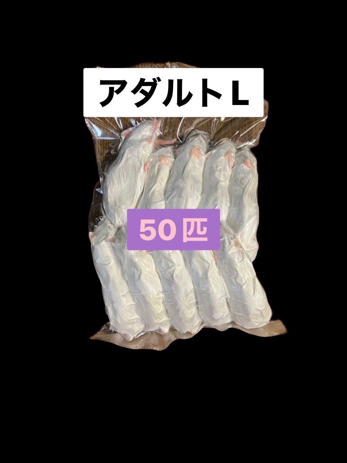 国産冷凍アダルトマウスL 50匹　送料込　即発送　同梱可