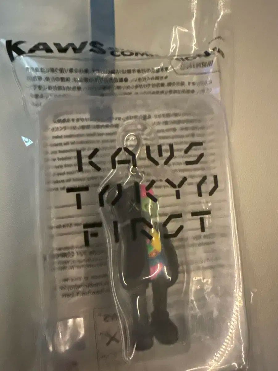 Kaws Tokyo