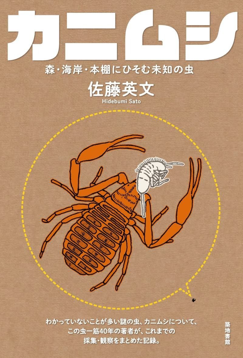 カニムシー森 海岸 本棚にひそむ未知の虫